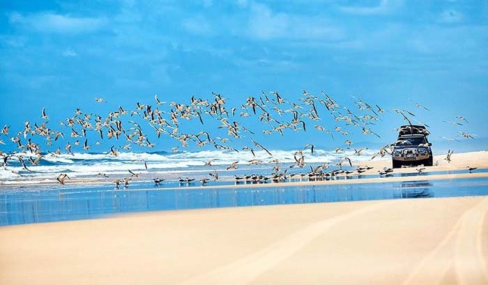 جاده ساحلی یا گریت بیچ کوئینزلند در استرالیا